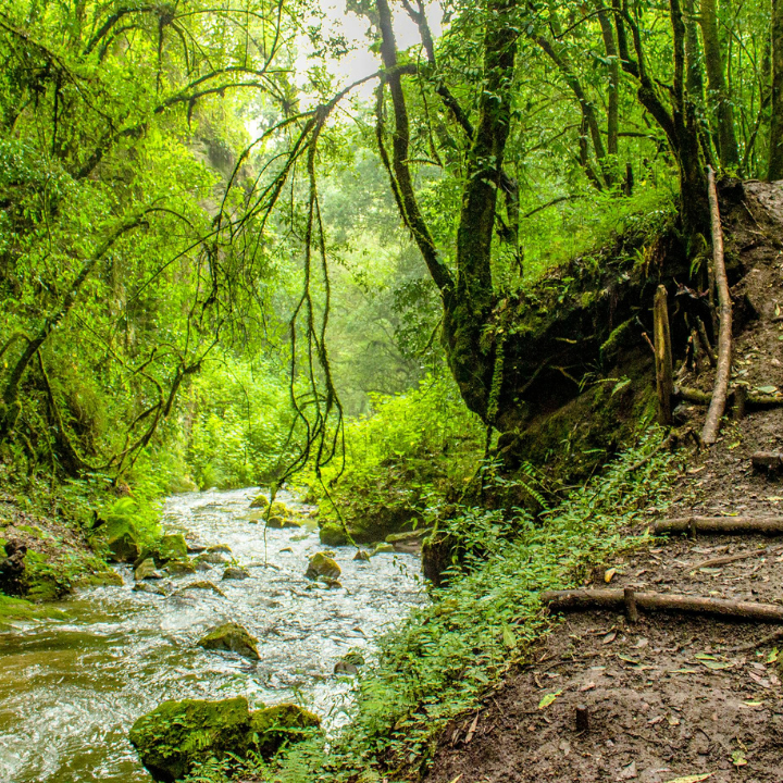 Vivez un séjour Immersion Transformatrice au cœur de l'Aude (11)